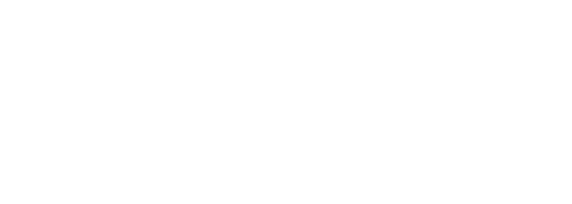 local-theme-shoes-demo